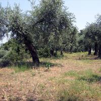 Земельный участок в Греции