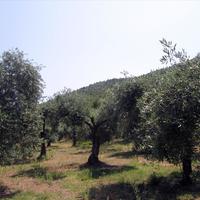 Земельный участок в Греции