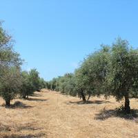 Земельный участок в Греции