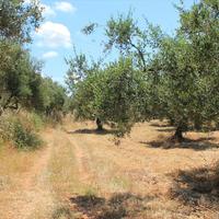 Земельный участок в Греции