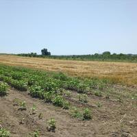 Земельный участок в Греции