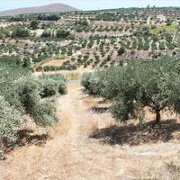 Земельный участок в Греции