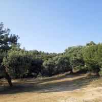 Land plot in Greece