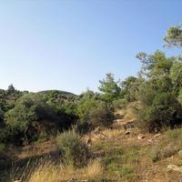 Land plot in Greece