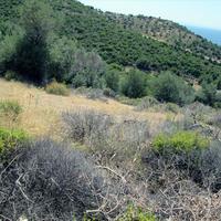 Land plot in Greece
