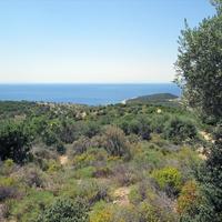 Land plot in Greece