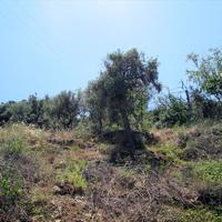 Земельный участок в Греции