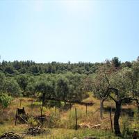 Земельный участок в Греции