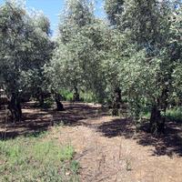 Земельный участок в Греции