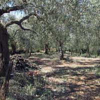 Земельный участок в Греции