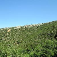 Земельный участок в Греции