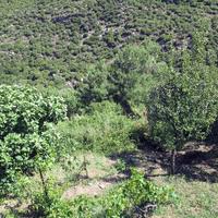 Земельный участок в Греции