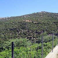 Земельный участок в Греции