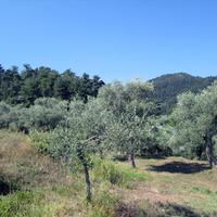 Земельный участок в Греции