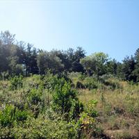 Земельный участок в Греции