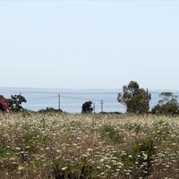 Земельный участок в Греции