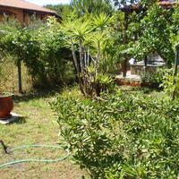 Другое в Греции, 80 кв.м.