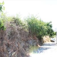 Земельный участок в Греции, 230 кв.м.