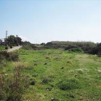 Land plot in Greece, 7500 sq.m.