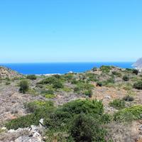 Land plot in Greece, 4006 sq.m.