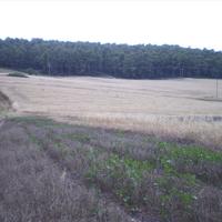 Земельный участок в Греции