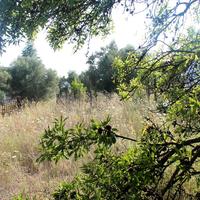 Земельный участок в Греции