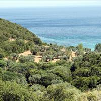 Land plot in Greece, 8620 sq.m.