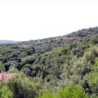 Land plot in Greece, 8620 sq.m.