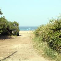 Land plot in Greece, 1300 sq.m.