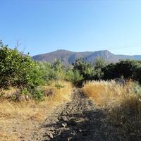 Земельный участок в Греции, 400 кв.м.