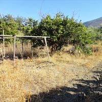 Земельный участок в Греции, 400 кв.м.