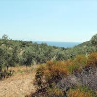 Земельный участок в Греции, 5568 кв.м.