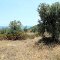 Земельный участок в Греции, 5568 кв.м.