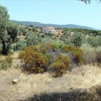 Земельный участок в Греции, 5568 кв.м.