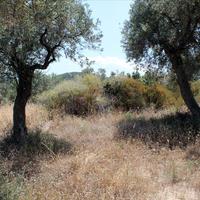 Земельный участок в Греции, 5568 кв.м.