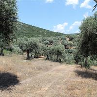 Земельный участок в Греции, 5568 кв.м.