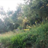 Land plot in Greece