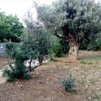 Other in Greece, 180 sq.m.