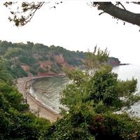 Land plot in Greece, 2000 sq.m.