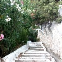 Land plot in Greece, 2000 sq.m.