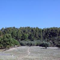 Land plot in Greece, 2600 sq.m.