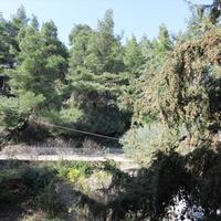 Villa in Greece, 442 sq.m.