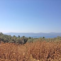 Other in Greece, 460 sq.m.