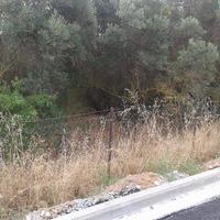 Land plot in Greece