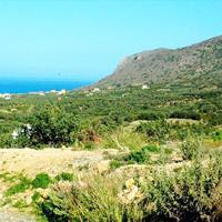 Land plot in Greece, 830 sq.m.