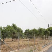 Land plot in Greece, 5250 sq.m.