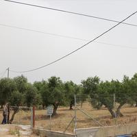 Land plot in Greece, 5250 sq.m.
