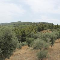 Hotel in Greece, 685 sq.m.