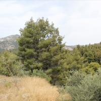 Hotel in Greece, 685 sq.m.