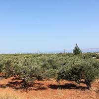 Земельный участок в Греции, 3300 кв.м.